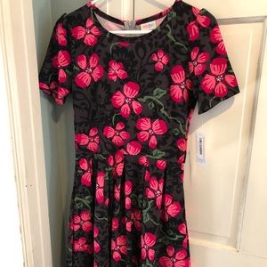 NWT M Amelia